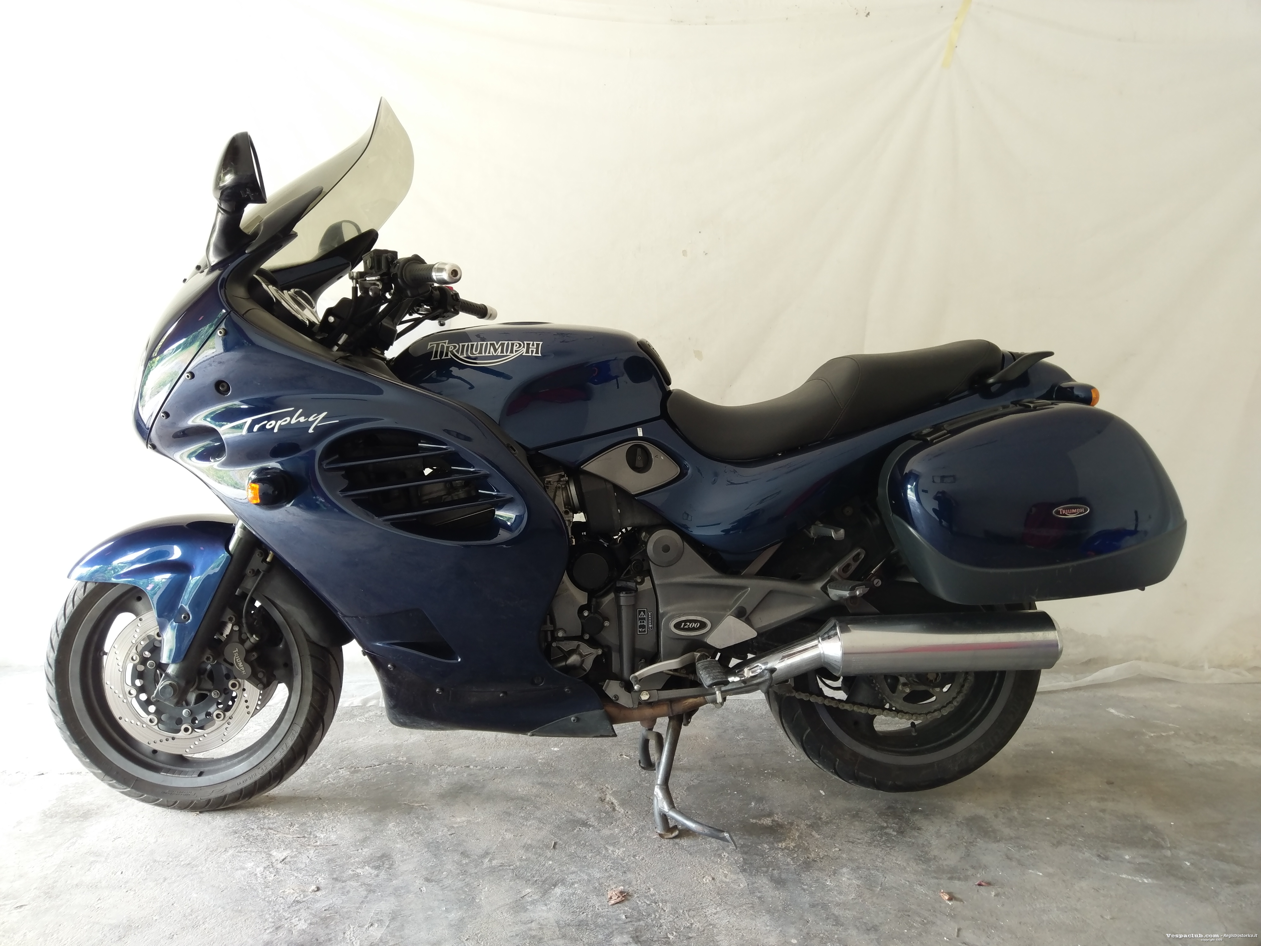 Trophy  - lato sinistro