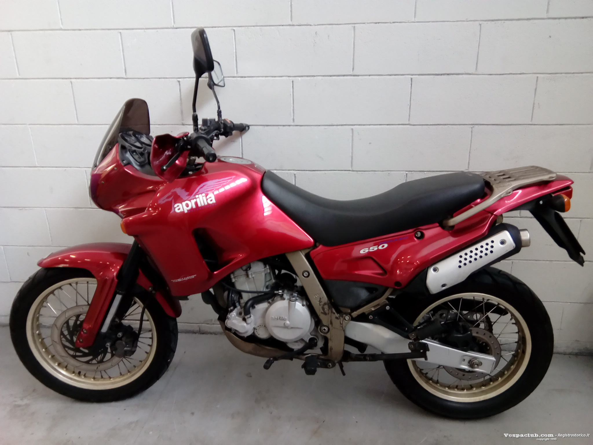 Pegaso - lato sinistro