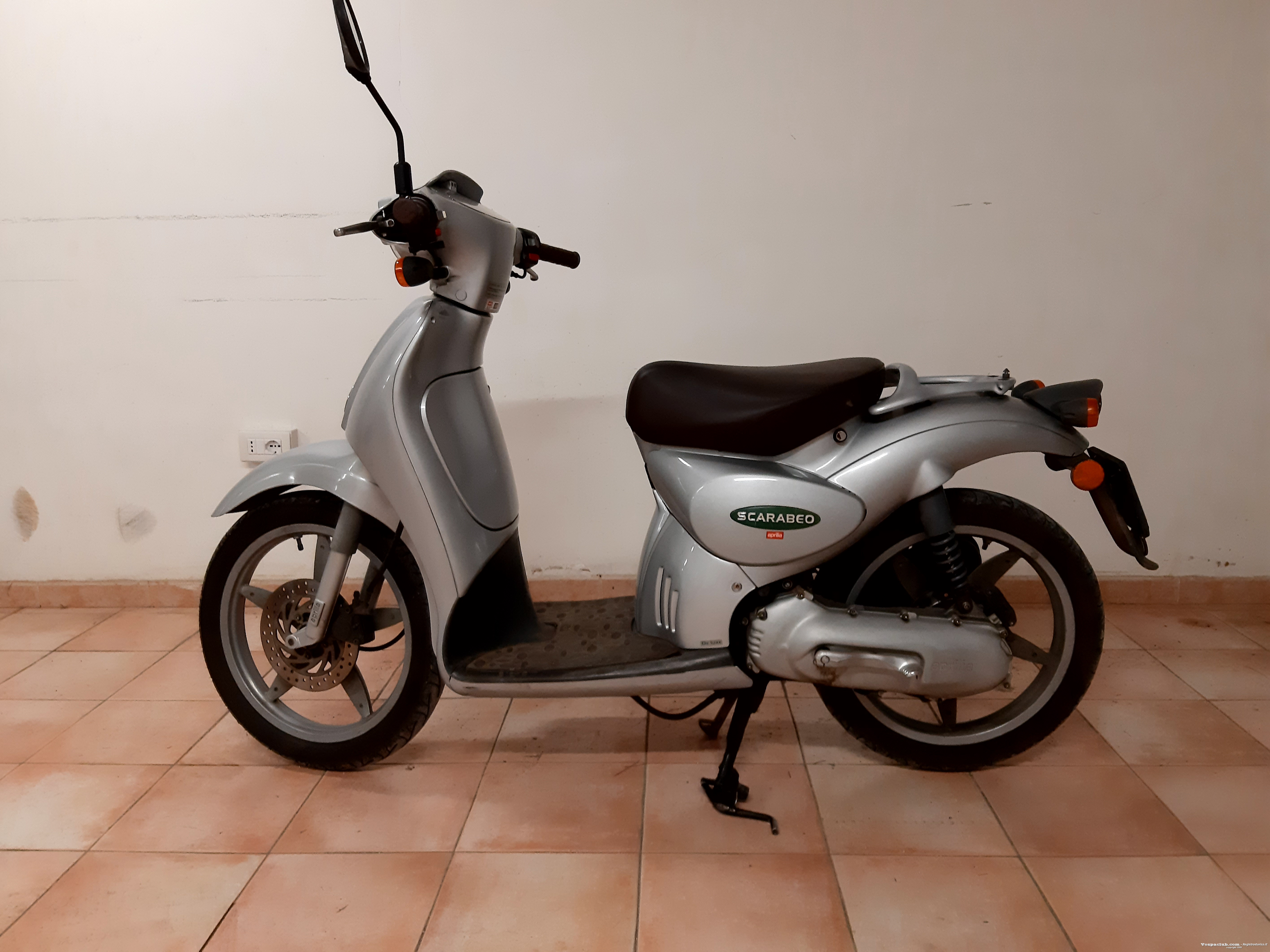 Scarabeo - lato sinistro