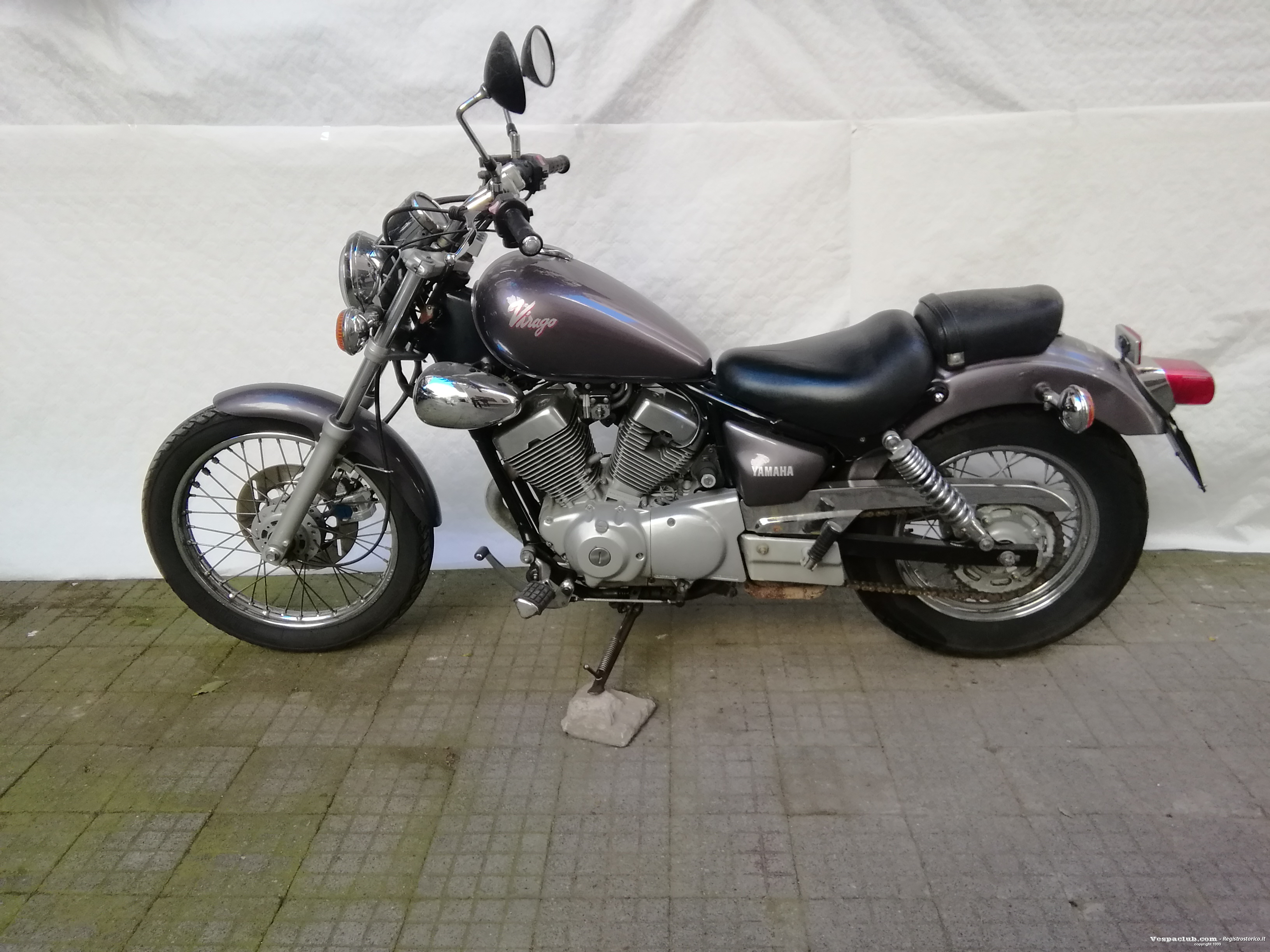Virago - lato sinistro