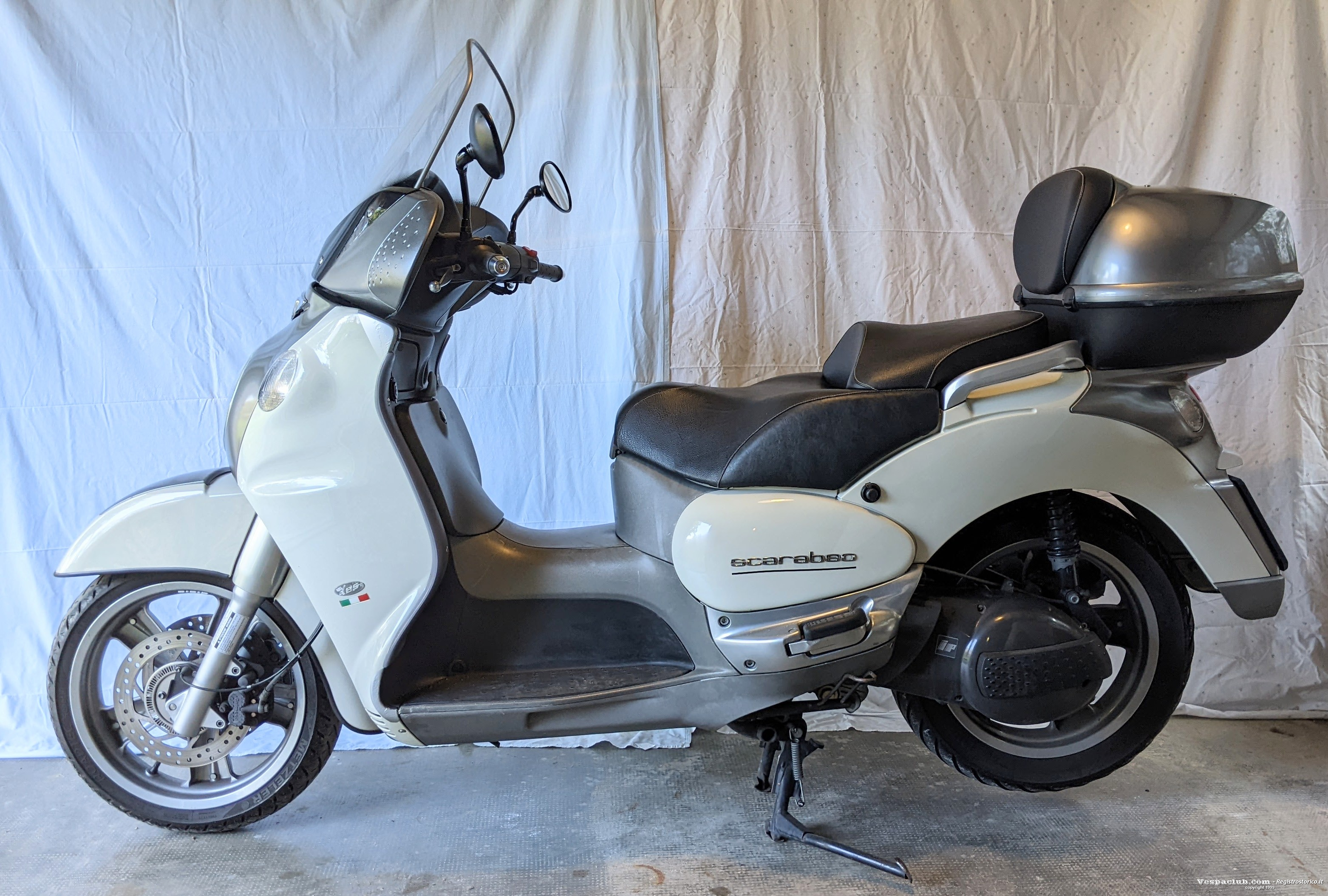 Scarabeo - lato sinistro